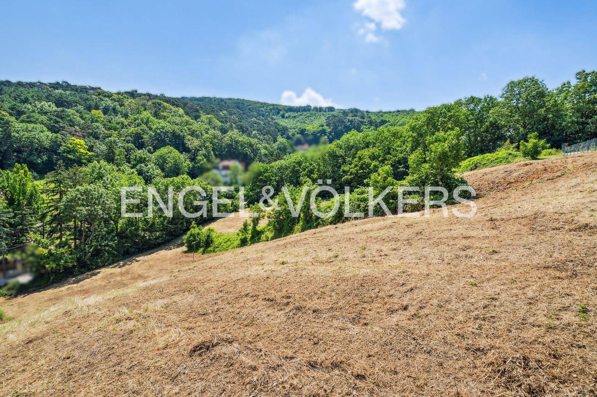 Trockenes, hügeliges Gelände mit dicht bewaldeten Hängen und blauem Himmel im Hintergrund.