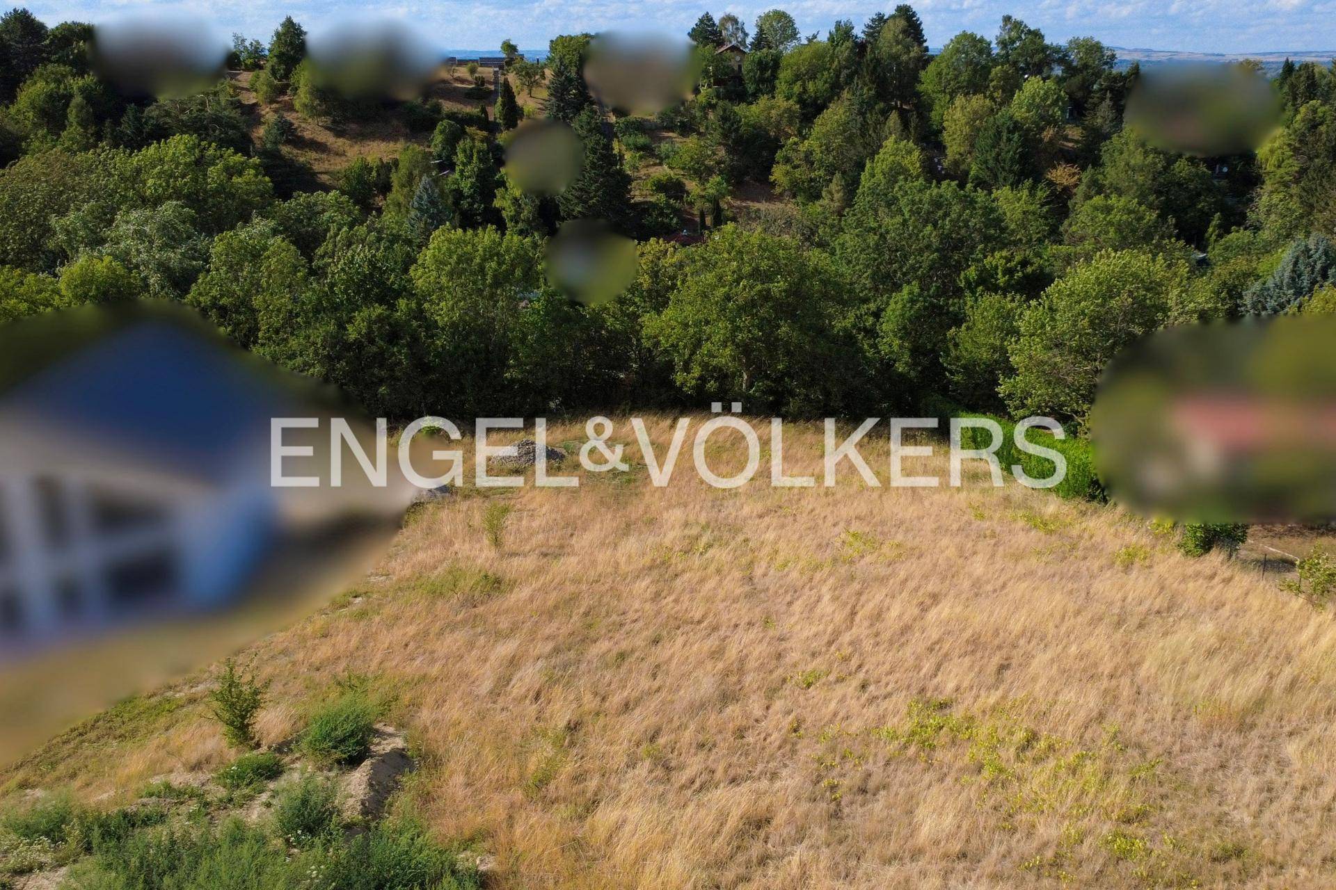 Großes Wiesengrundstück mit bewaldetem Hintergrund und weitem Blick über die Umgebung.