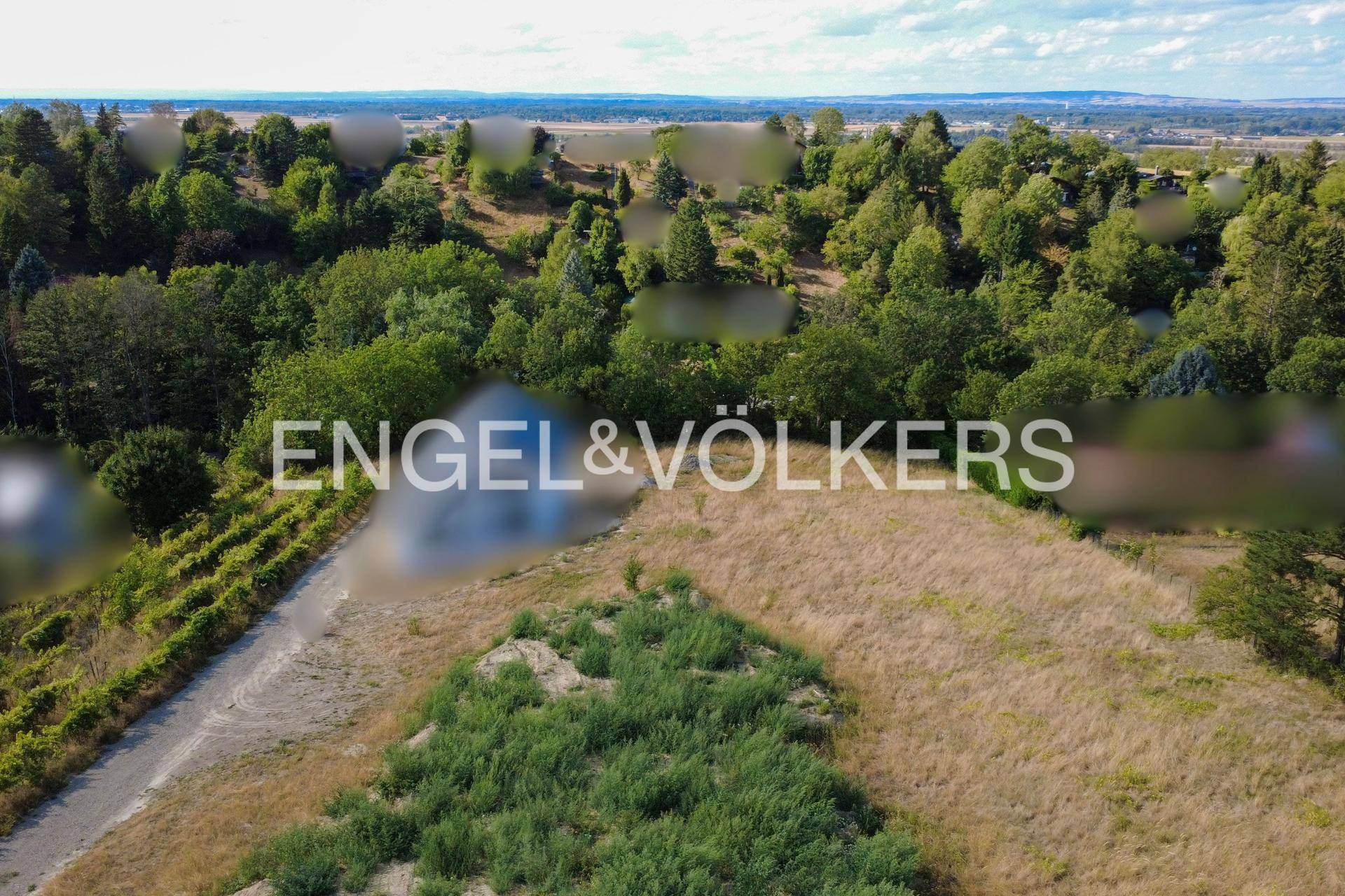Weitläufiges Grundstück mit trockener Wiese, angrenzendem Weinberg und bewaldeter Hügellandschaft.