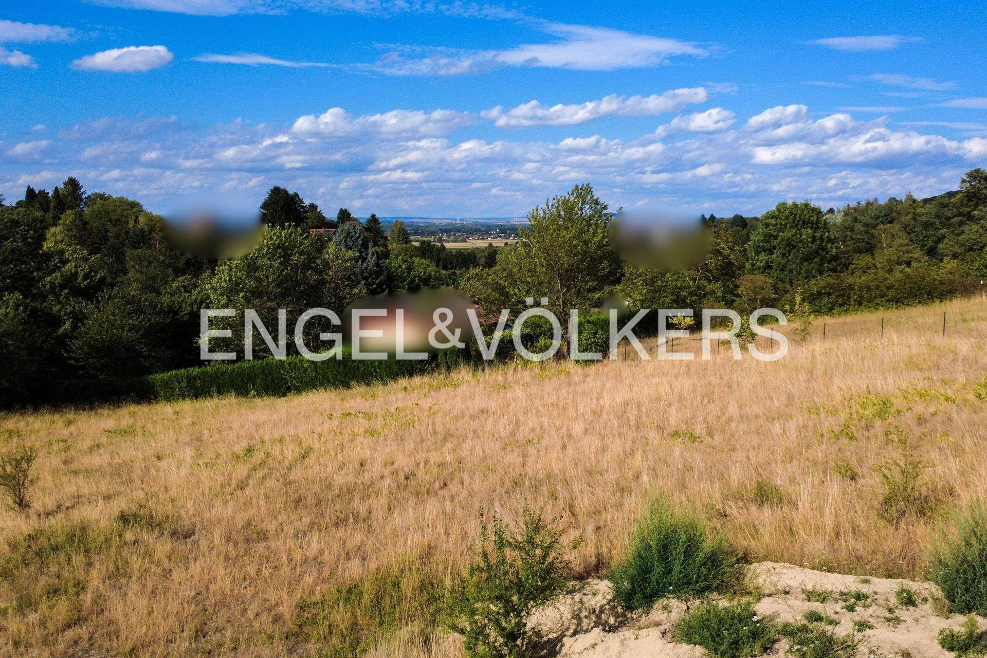 Weitläufiges Feld mit trockenem Gras und einer malerischen Landschaft mit Bäumen im Hintergrund unter blauem Himmel.