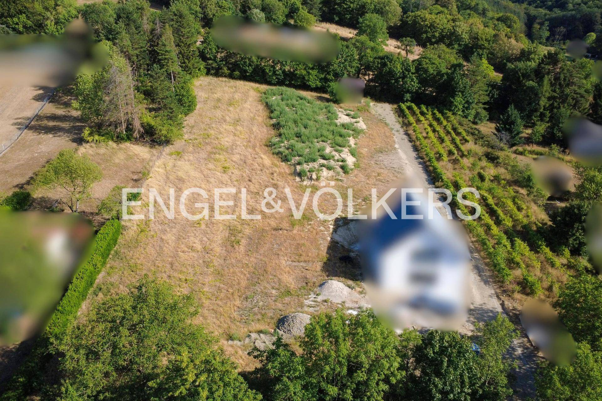 Luftaufnahme einer hügeligen Landschaft mit Wäldern, Feldern und Weinbergen, die eine weite Aussicht bietet.