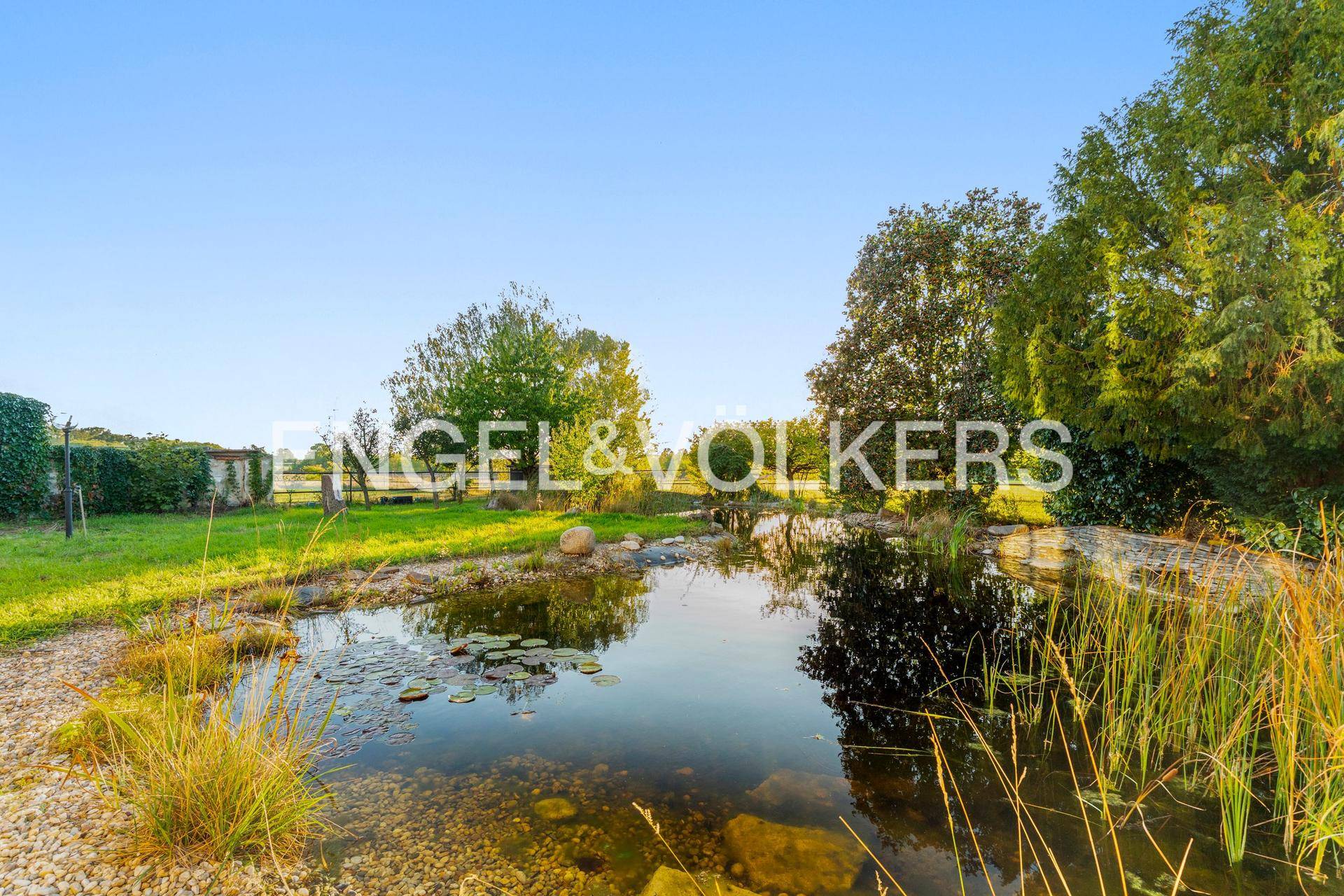 Idyllischer Gartenteich mit Seerosen und Schilf, umgeben von grüner Vegetation und Bäumen.