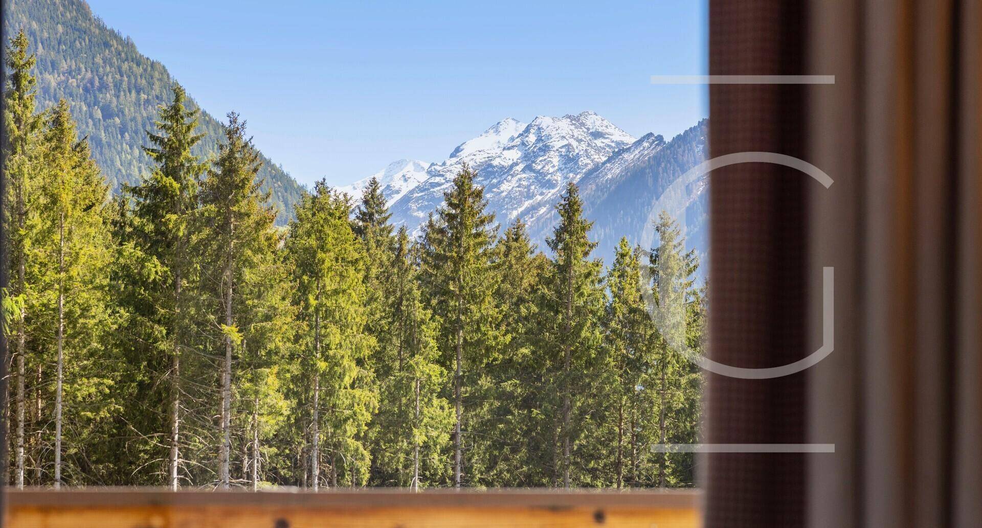 Malerischer Ausblick auf dichte Wälder und schneebedeckte Berge durch ein Fenster.