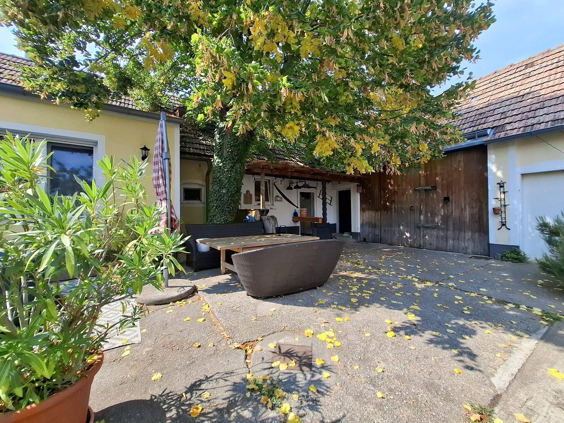 Geräumiger Innenhof mit Sitzgelegenheiten unter einem großen Baum, ideal für gesellige Runden.