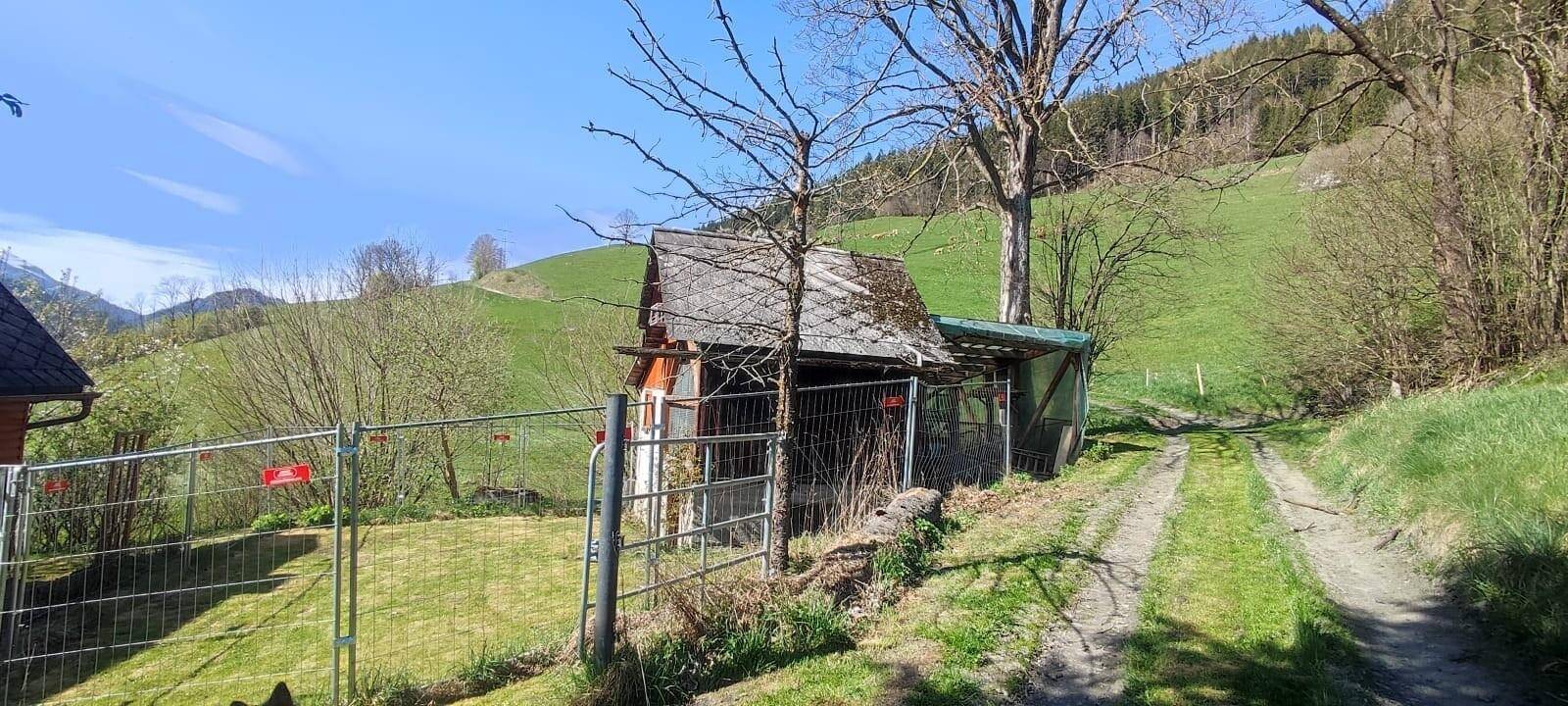 96591721-007f-43da-ae53-201d403c31e6.jpeg