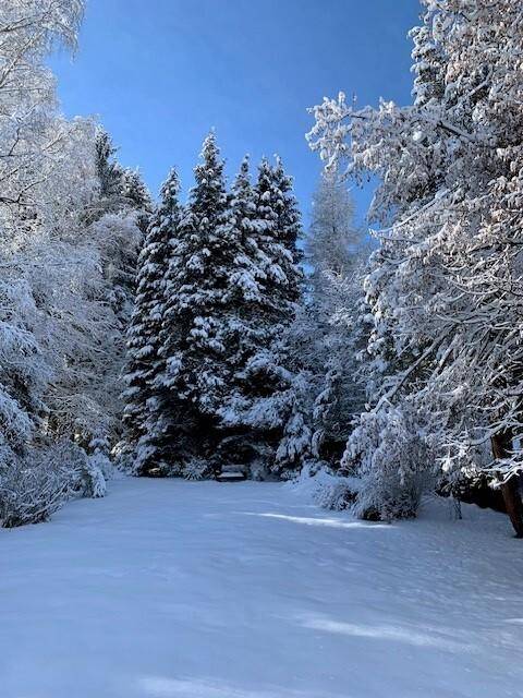 Winterlandschaft