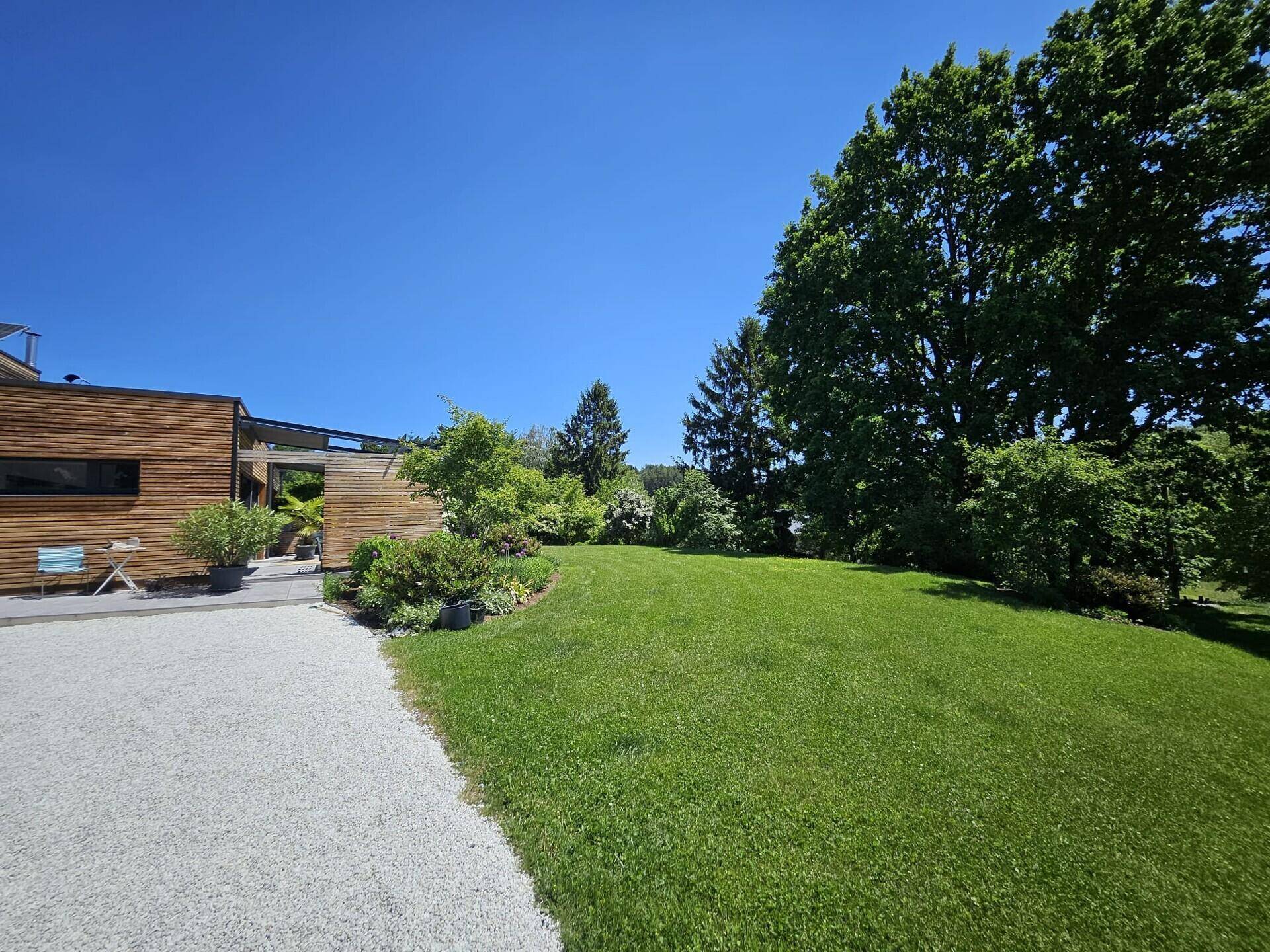 Sonniger Garten mit weitläufiger Rasenfläche, altem Baumbestand und moderner Hausfassade.