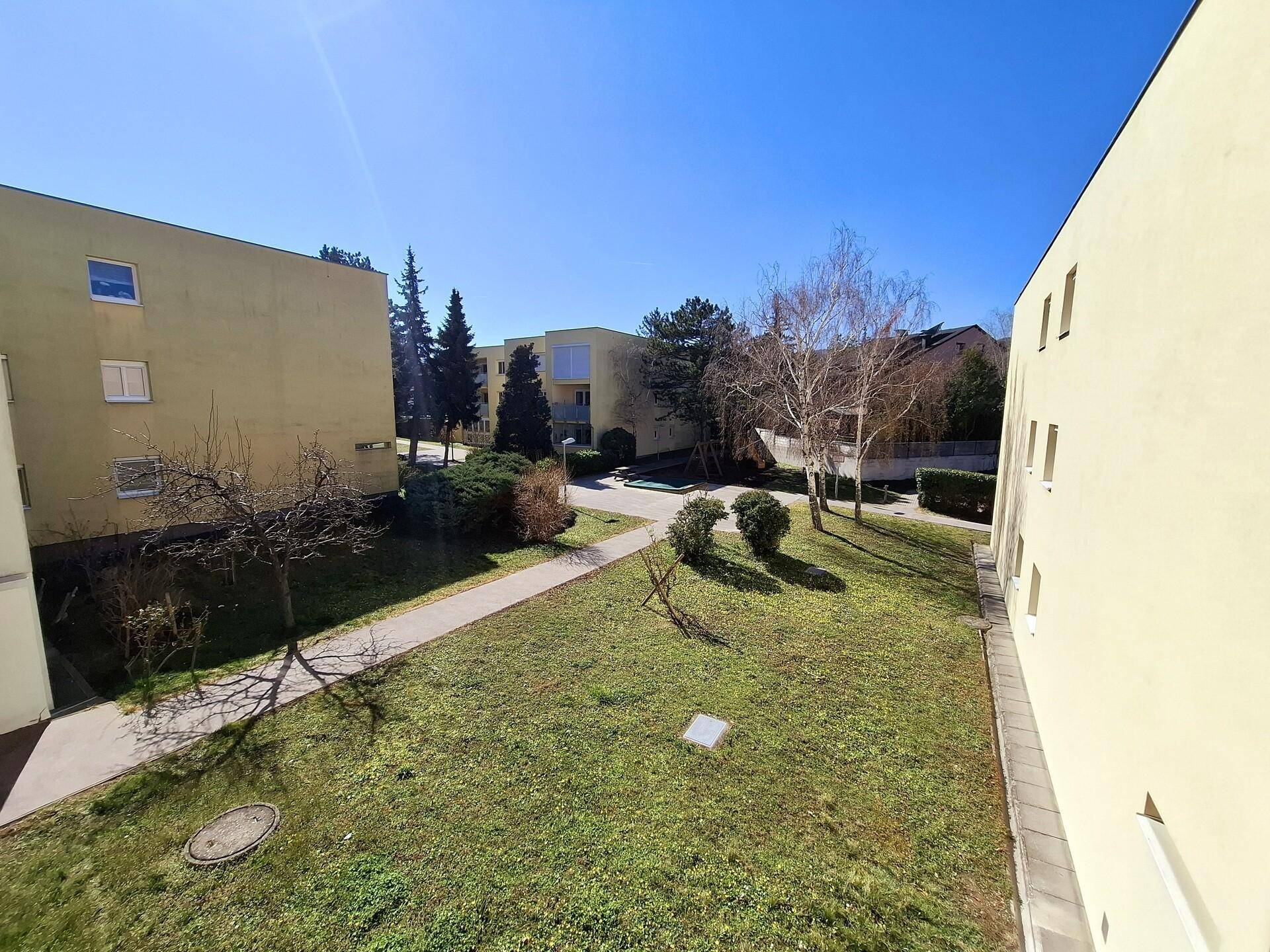 20250320_120954.jpg