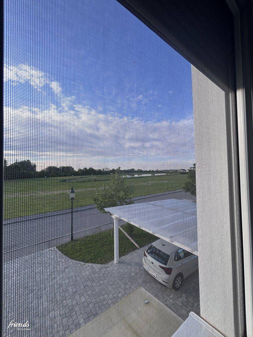 Fliegengitter