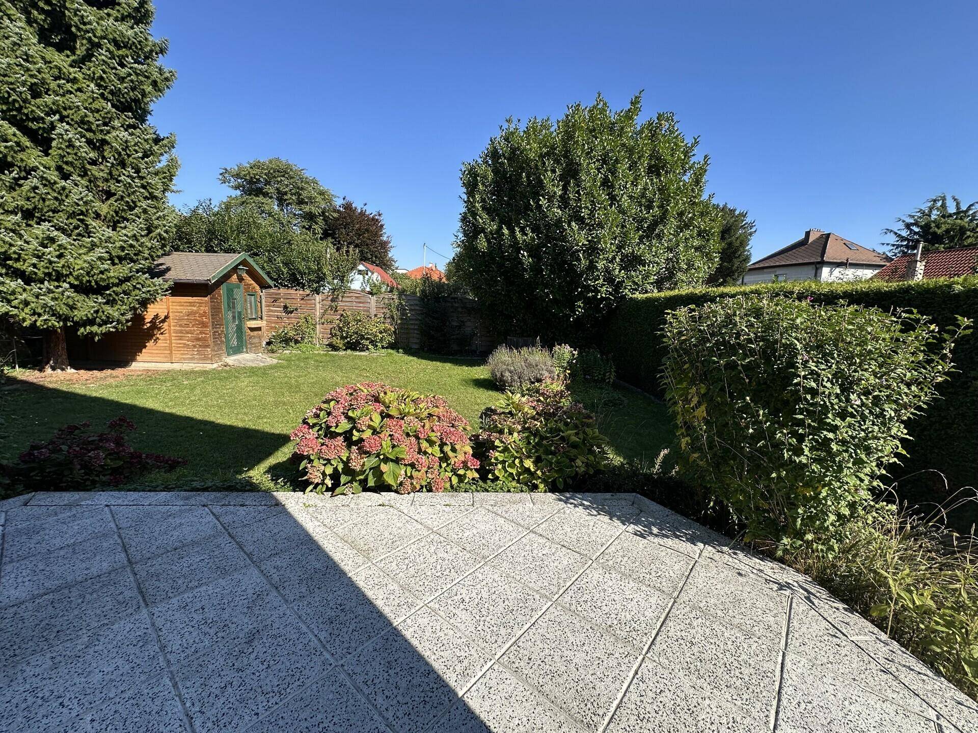 Gepflasterte Terrasse mit Blick auf den grünen Garten und blühende Sträucher an einem sonnigen Tag.
