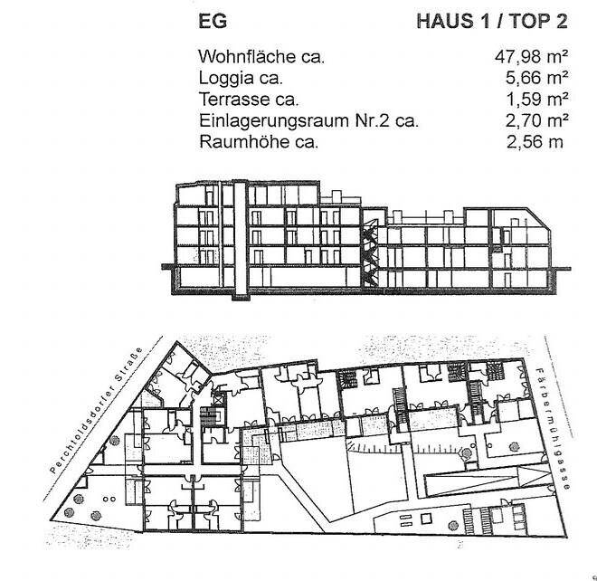 Übersichtlicher Grundriss des Erdgeschosses mit Wohnfläche und Außenbereichen.
