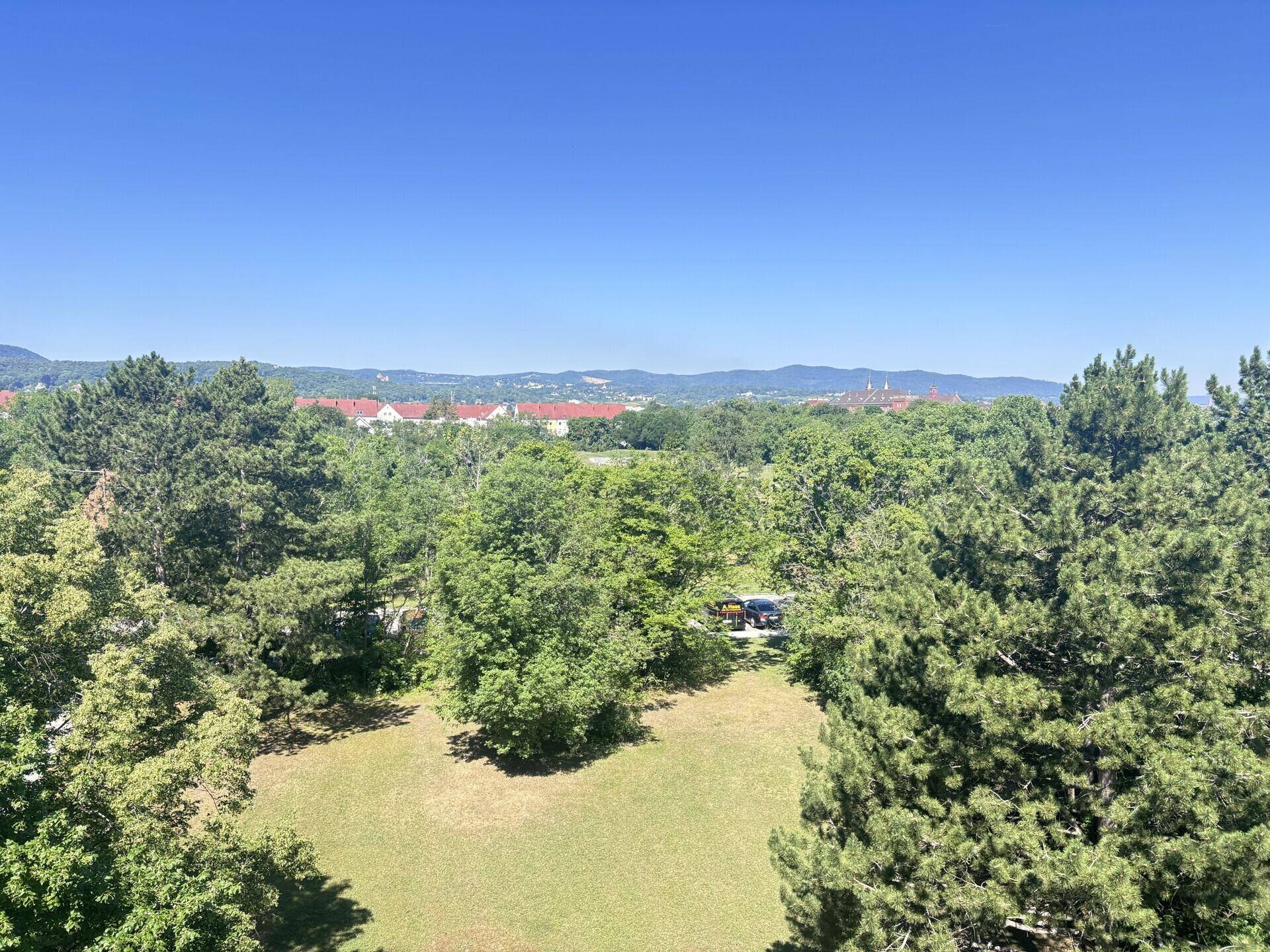 Panoramablick über eine grüne Parklandschaft mit Bäumen und fernen Gebäuden unter blauem Himmel.