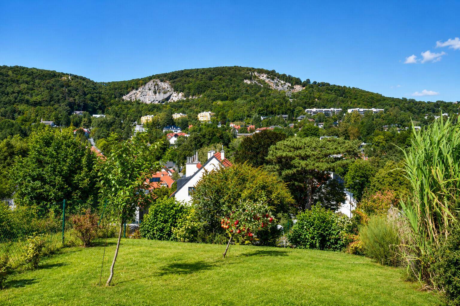 Weitläufiger Garten mit Rasenfläche und Blick auf die bewaldeten Hügel und umliegende Bebauung.