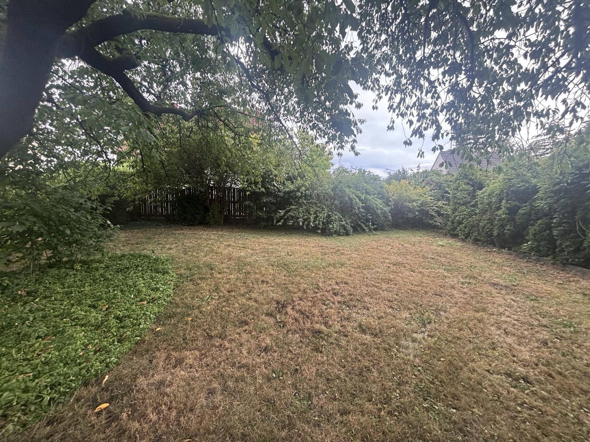 Großer Gartenbereich mit Rasenfläche und altem Baumbestand, umgeben von Hecken.