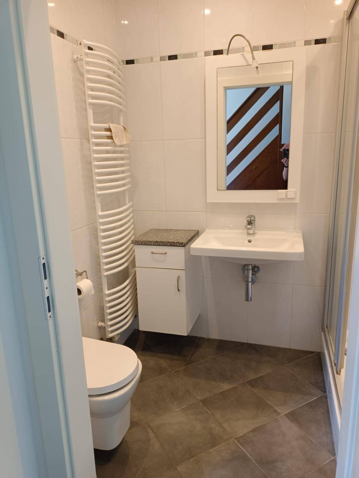 Badezimmer mit Toilette, Waschbecken, Spiegelschrank und beheiztem Handtuchhalter.