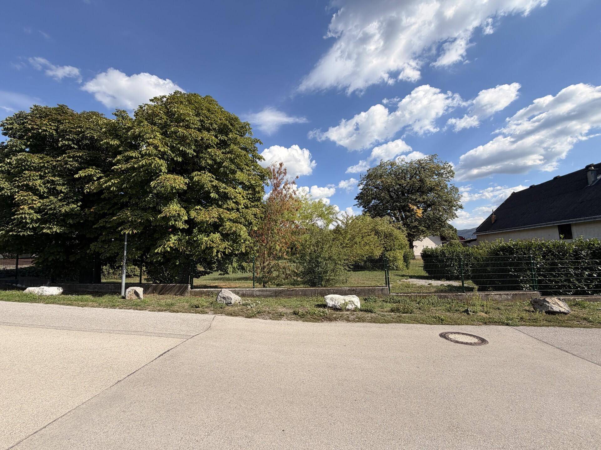Blick von der Straße auf das Grundstück mit großen Bäumen und einem Zaun, der das Anwesen begrenzt.