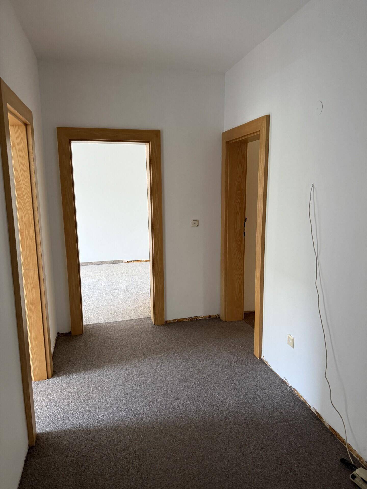 Heller Flur mit Teppichboden und mehreren Holztüren, die zu anderen Räumen führen.