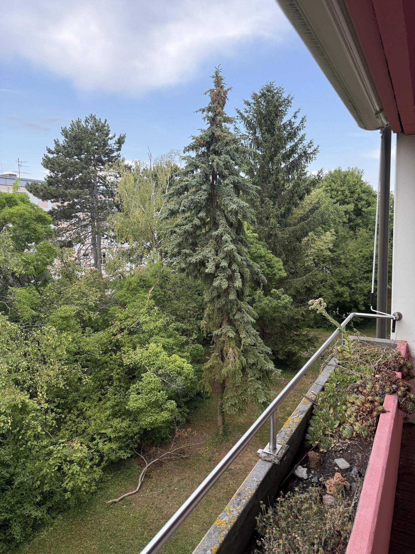 Balkon mit Holzboden und Geländer, umgeben von üppigem Grün und hohen Bäumen.