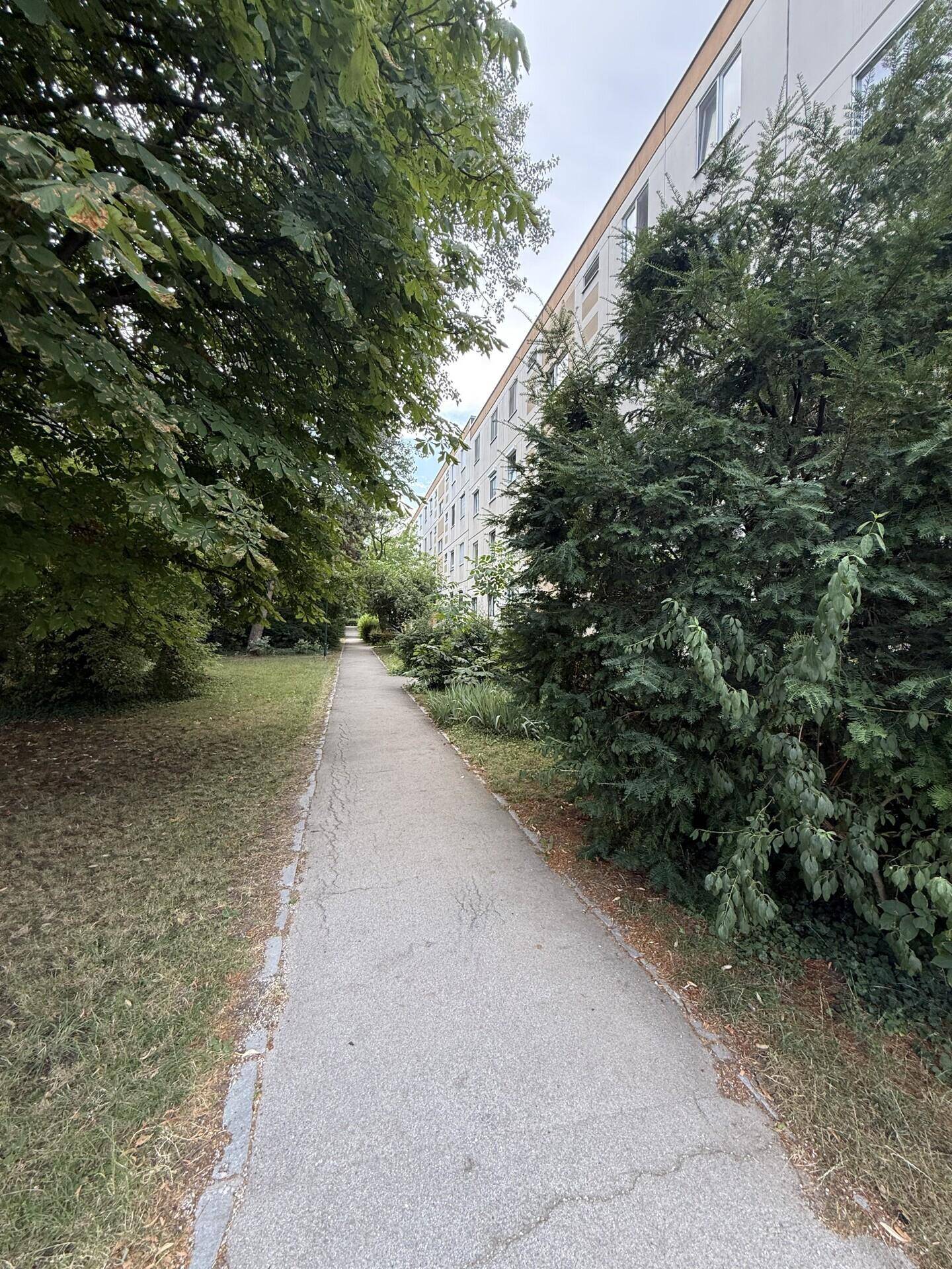 Langer Gehweg neben einem Wohngebäude, umgeben von Bäumen und Grünflächen.