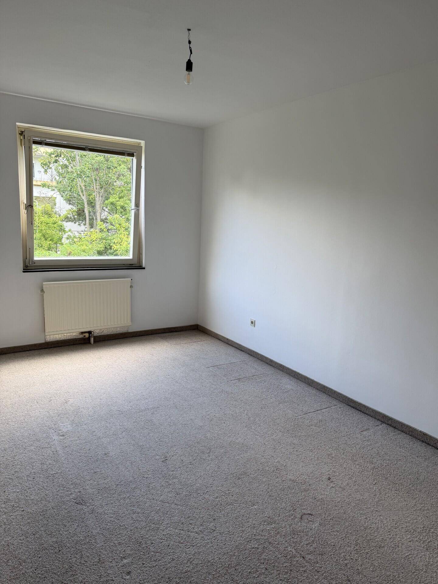 Helles, leeres Zimmer mit Teppichboden und einem Fenster mit Blick ins Grüne.