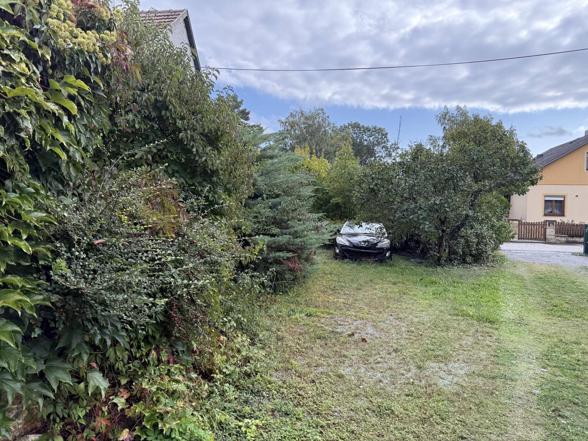 Verwilderter Gartenbereich mit einem teilweise von Büschen verdeckten Auto neben einem Haus.