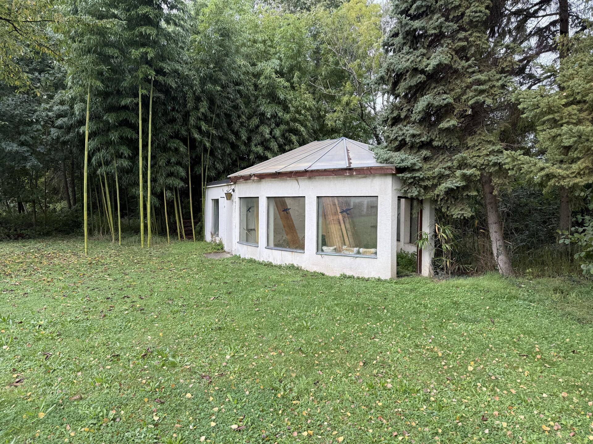 Kleines, verglastes Nebengebäude oder Wintergarten umgeben von Rasen und hohen Bambusbäumen.