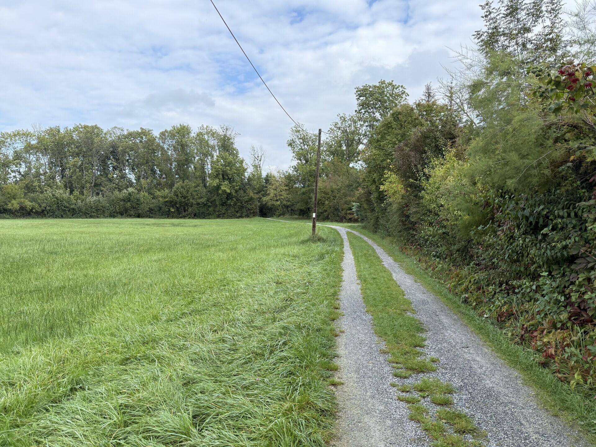 Schotterweg führt durch ein weites grünes Feld mit Bäumen am Horizont unter bewölktem Himmel.