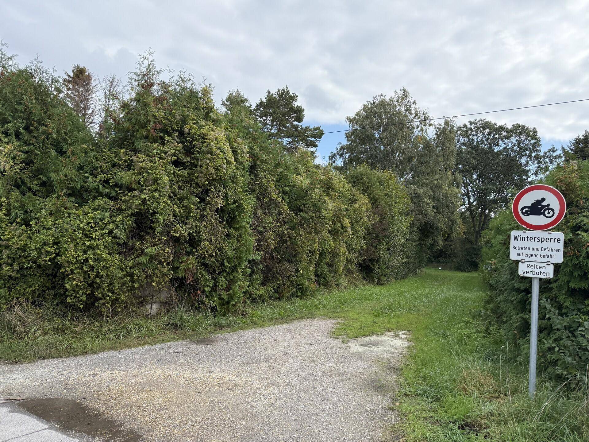 Schotterweg neben einer hohen, dichten Hecke mit einem Wintersperre-Schild.