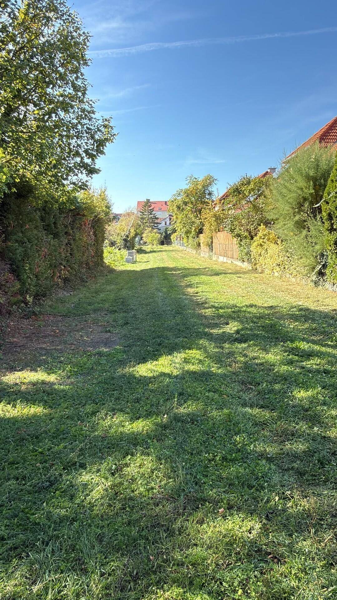 Weitläufige Grünfläche mit Rasen und Bäumen, ideal für einen zukünftigen Garten.