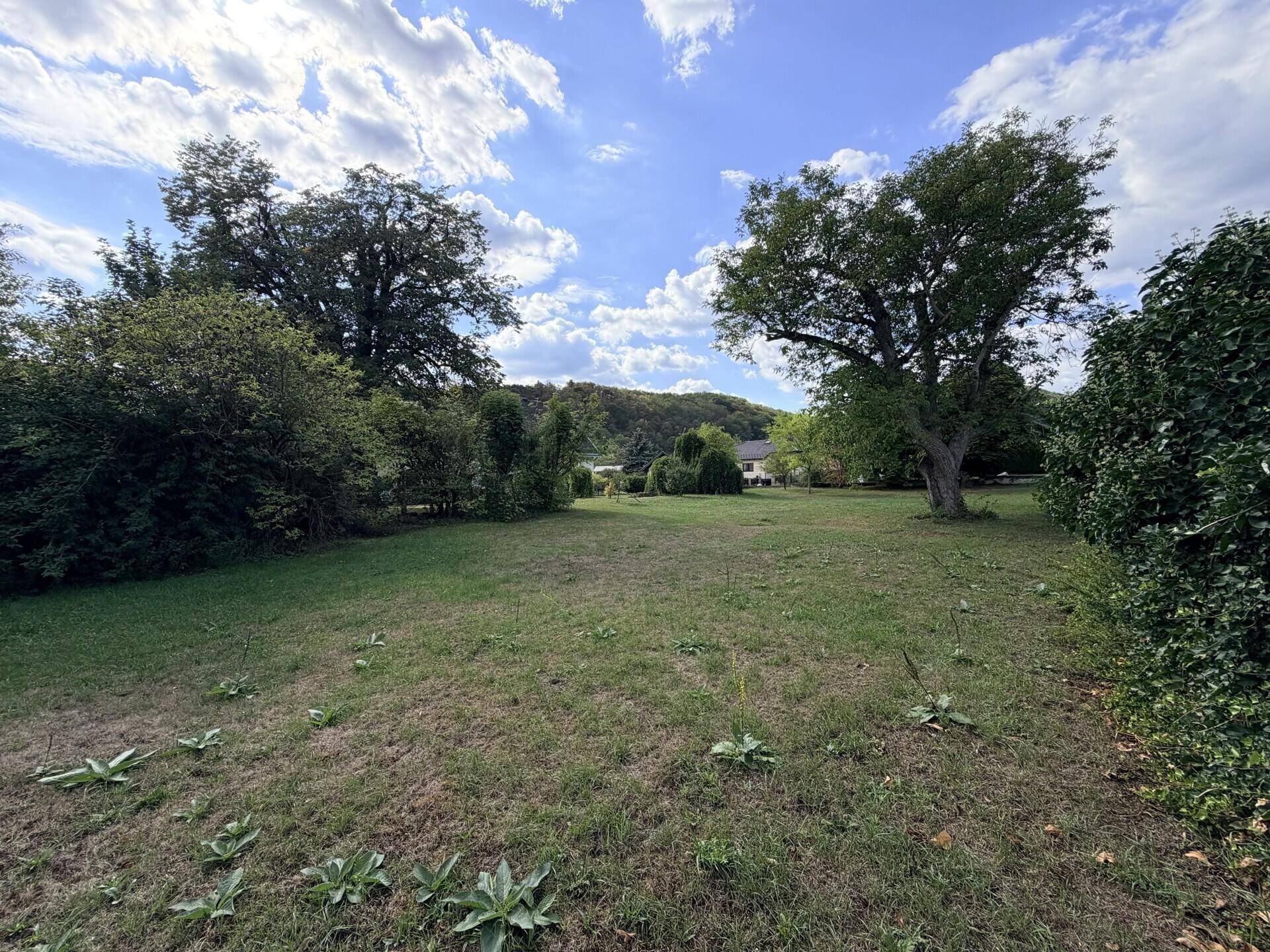 Großer Garten mit Rasenfläche und Bäumen, umgeben von natürlicher Landschaft.
