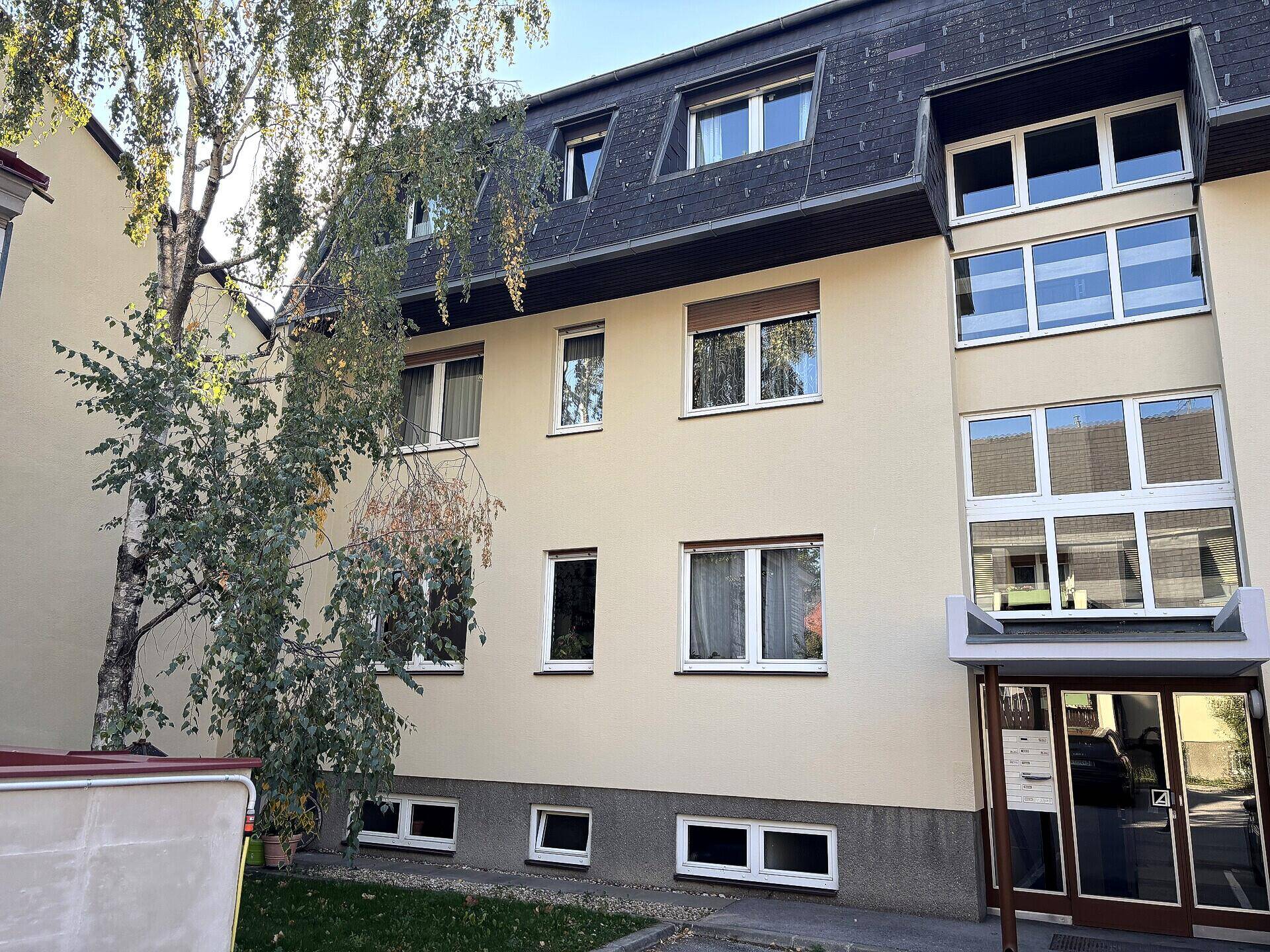 Ansicht der Gebäudefassade mit mehreren Fenstern und einem Baum im Vordergrund.