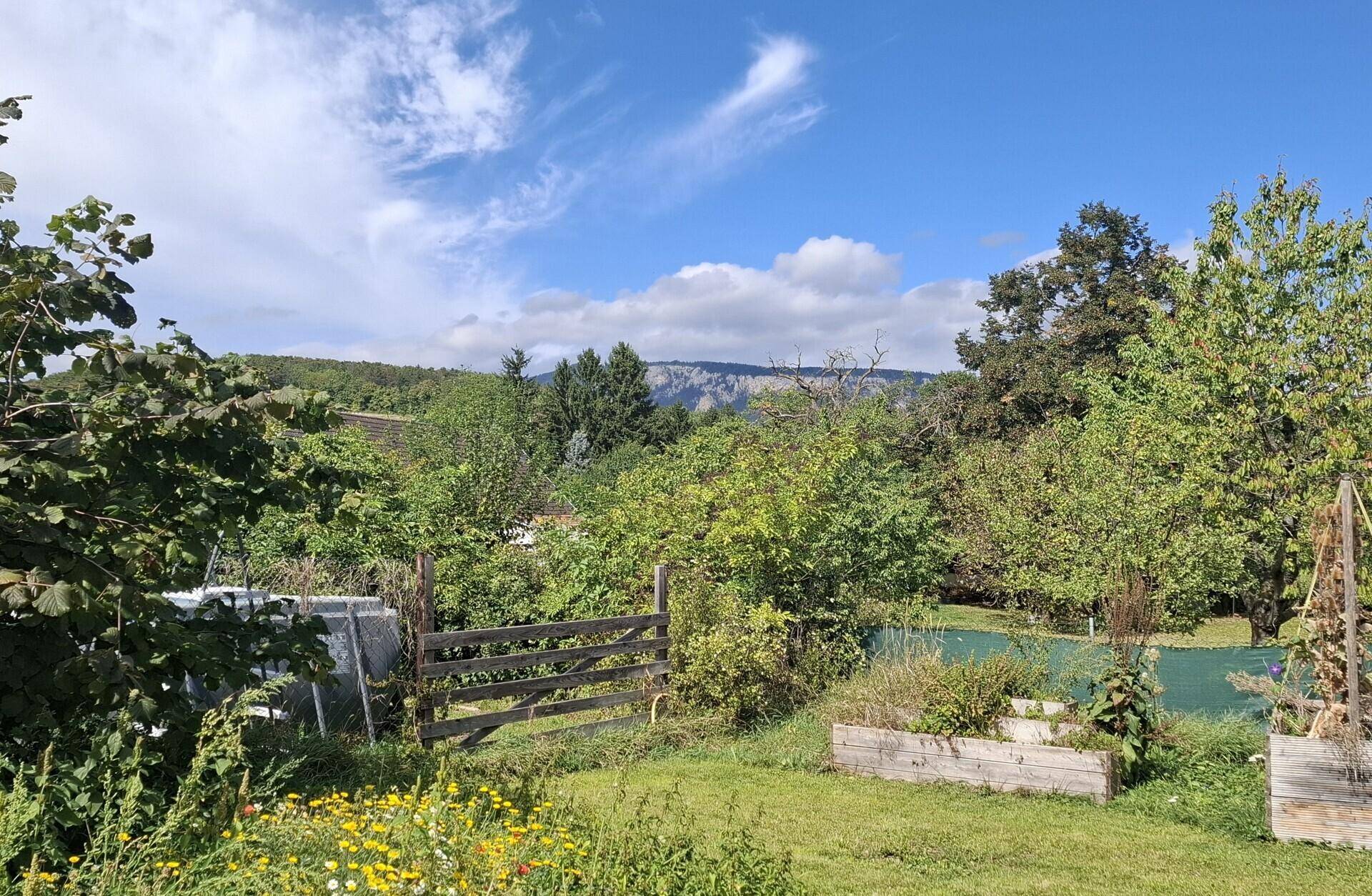 Üppiger Gartenbereich mit Holzzaun, Hochbeeten und malerischem Bergblick unter blauem Himmel.