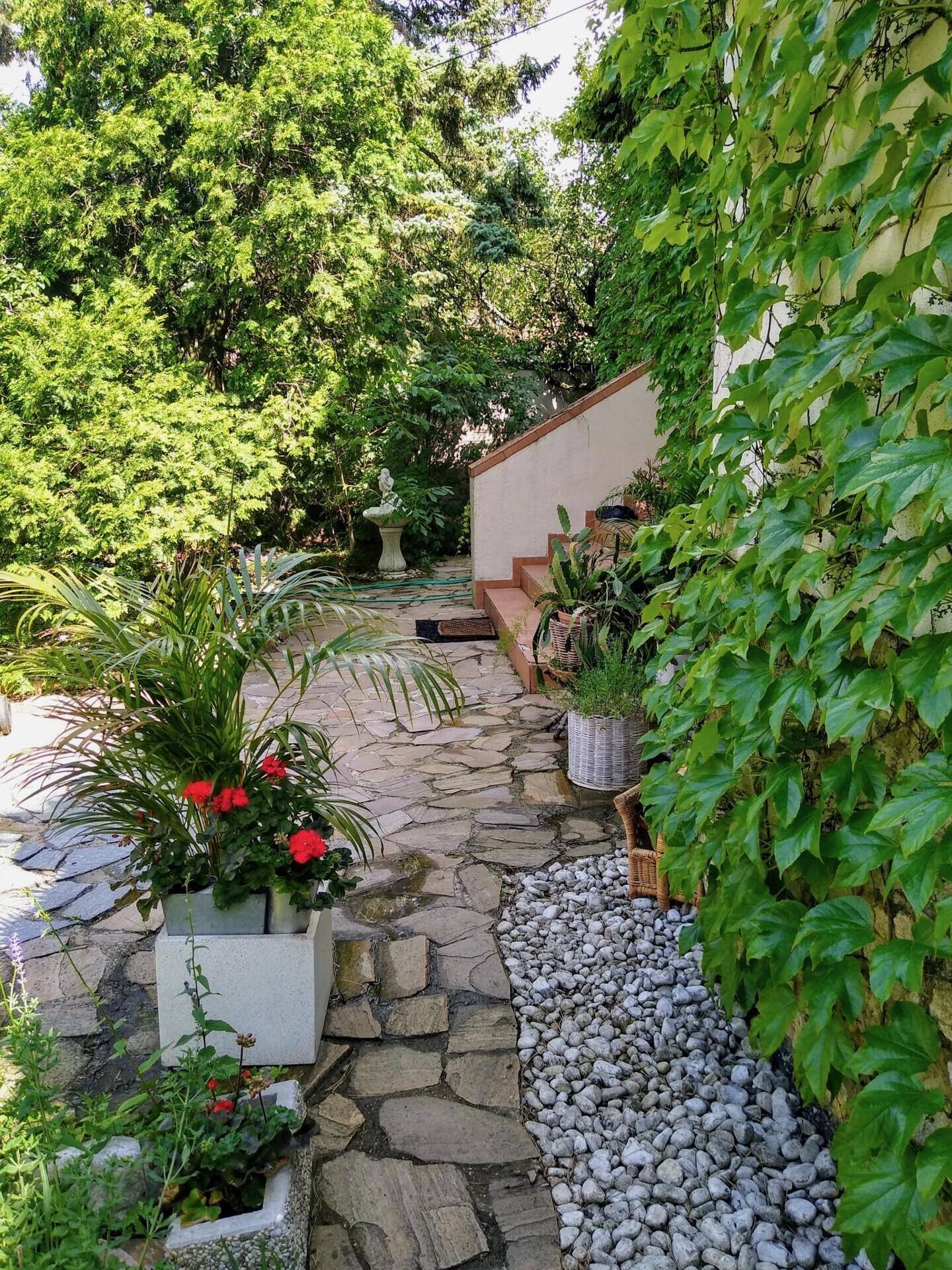 Steinplattenweg führt durch den grünen Garten mit Pflanzenkübeln und Kiesbeet.