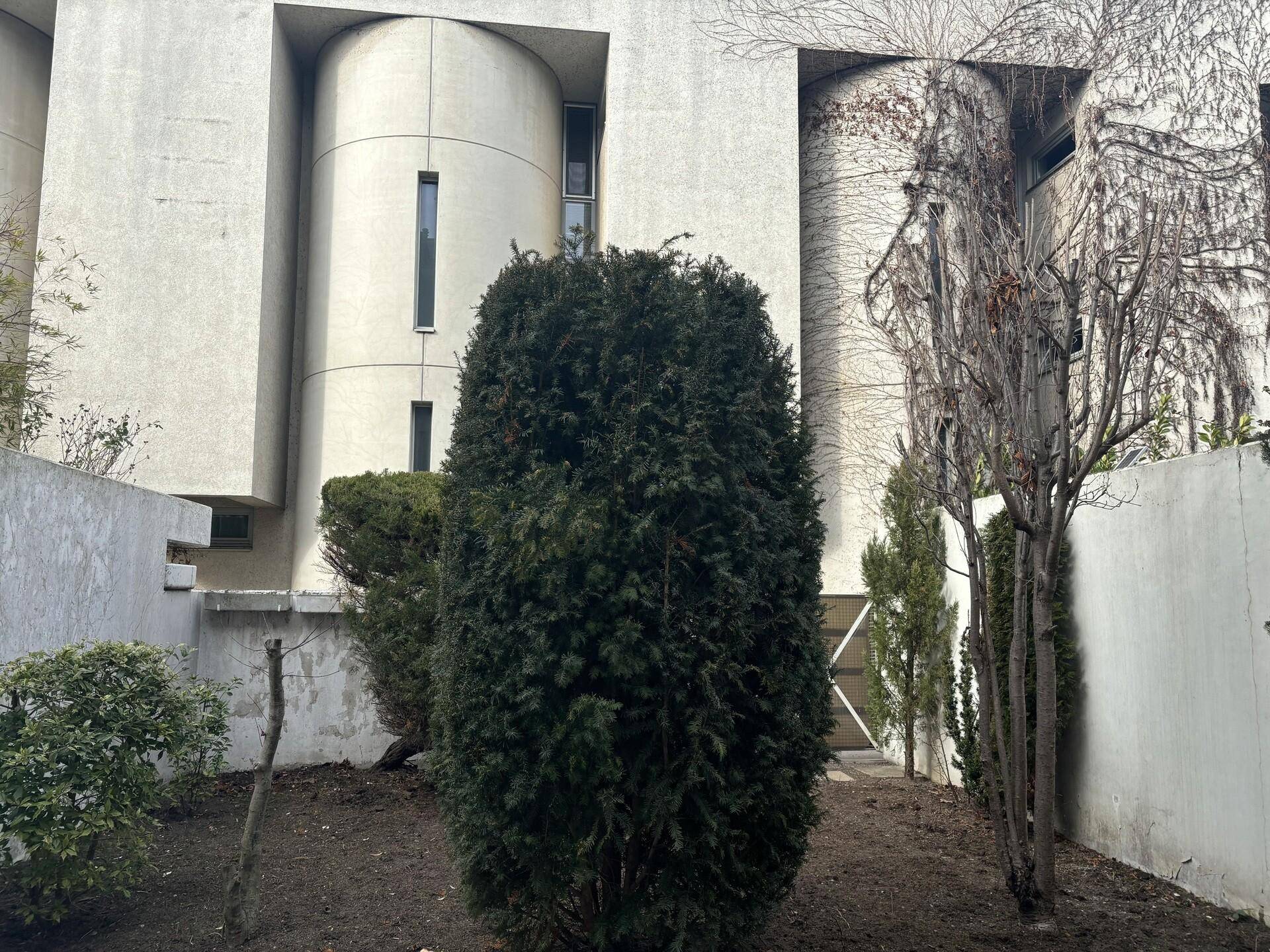IMG_8819.jpeg