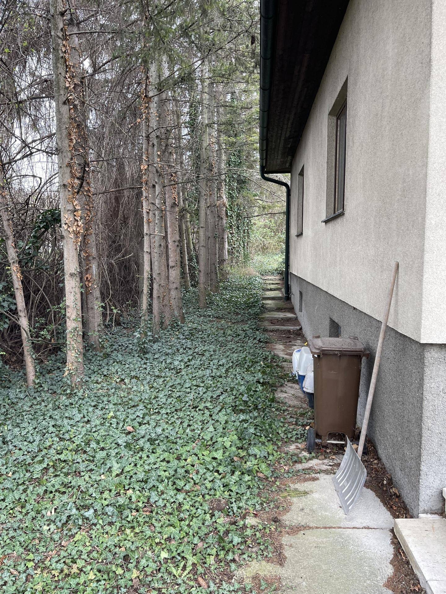 Schmaler Weg entlang der Hausseite, umgeben von Efeu und Bäumen, mit Mülltonne und Schaufel.