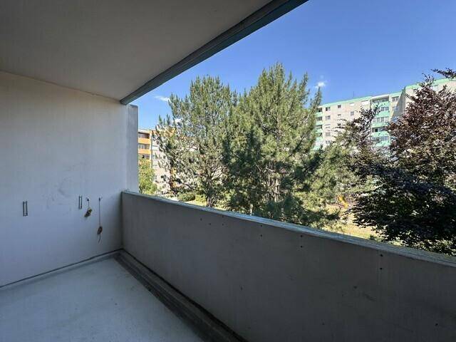 Unmöblierter Balkon mit Blick auf grüne Bäume und umliegende Wohngebäude.