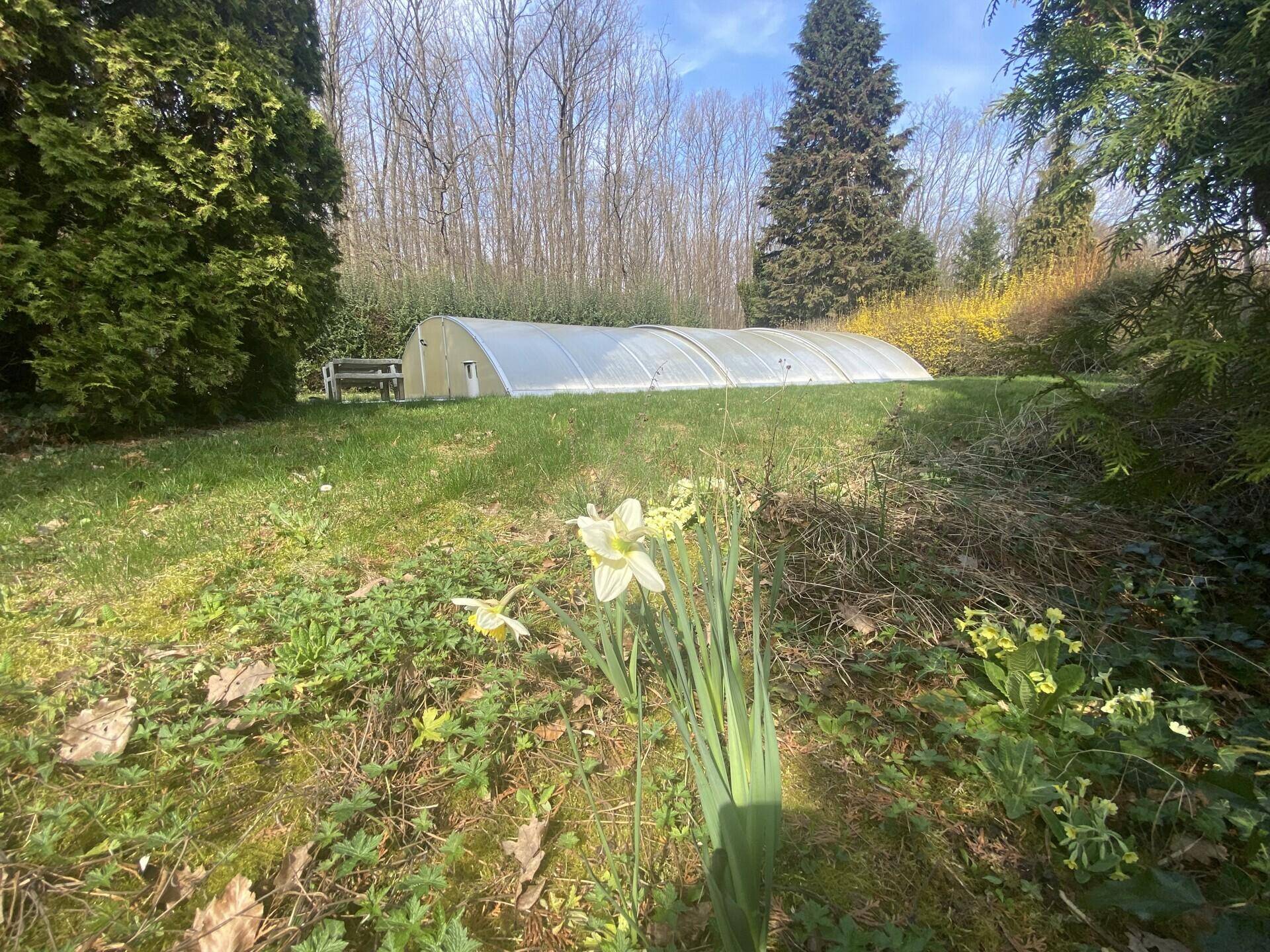 Großer Garten mit Rasenfläche, Bäumen und einer überdachten Poolanlage oder Gewächshaus.