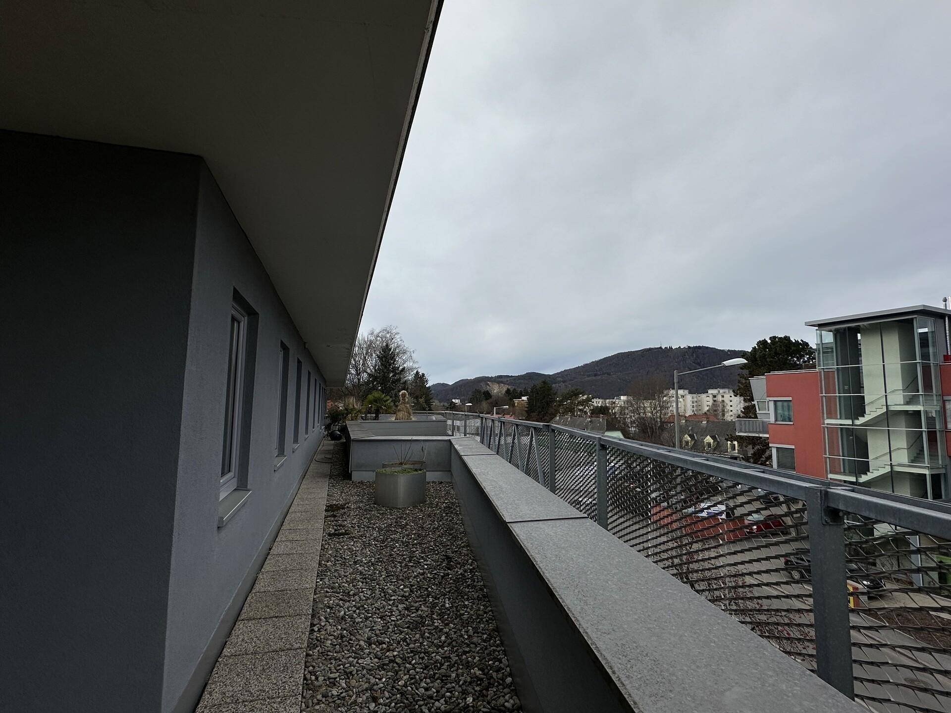 IMG_3415.jpeg