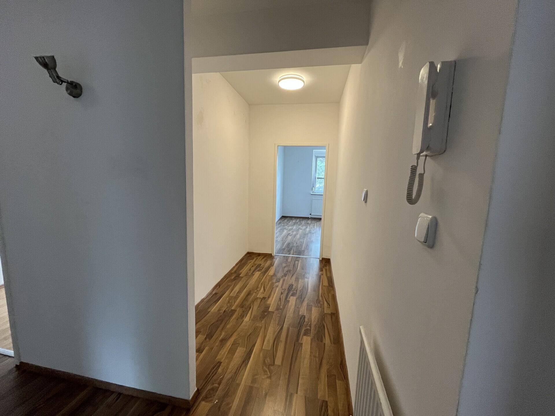 Langer, heller Flur mit Laminatboden und Gegensprechanlage.