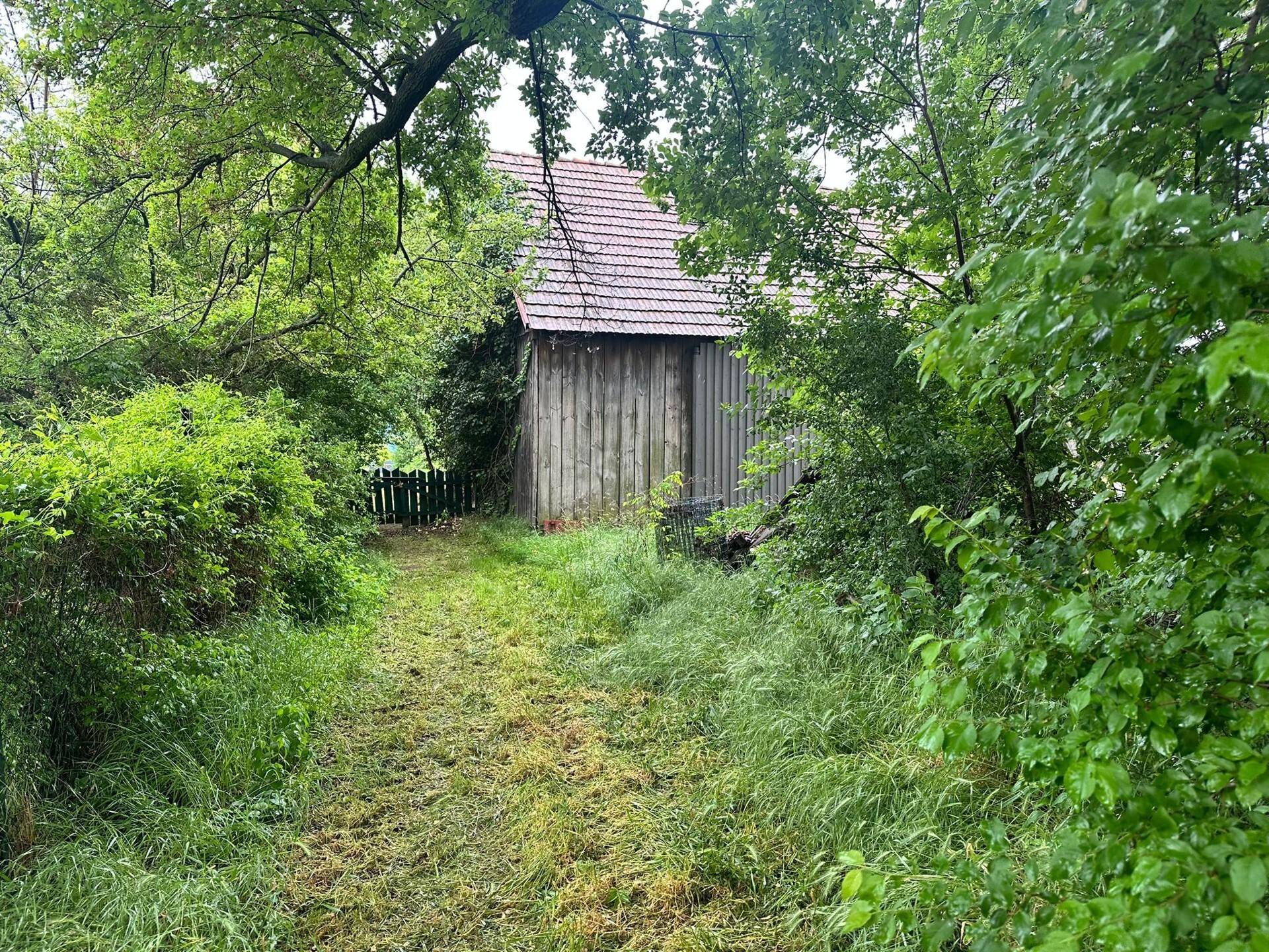 Grüner Gartenweg führt zu einem rustikalen Holzschuppen, umgeben von dichtem Laubwerk.