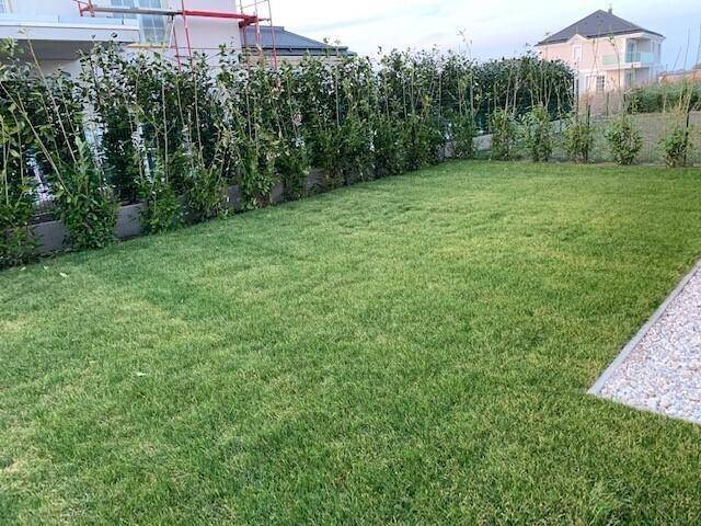 Garten.jpg