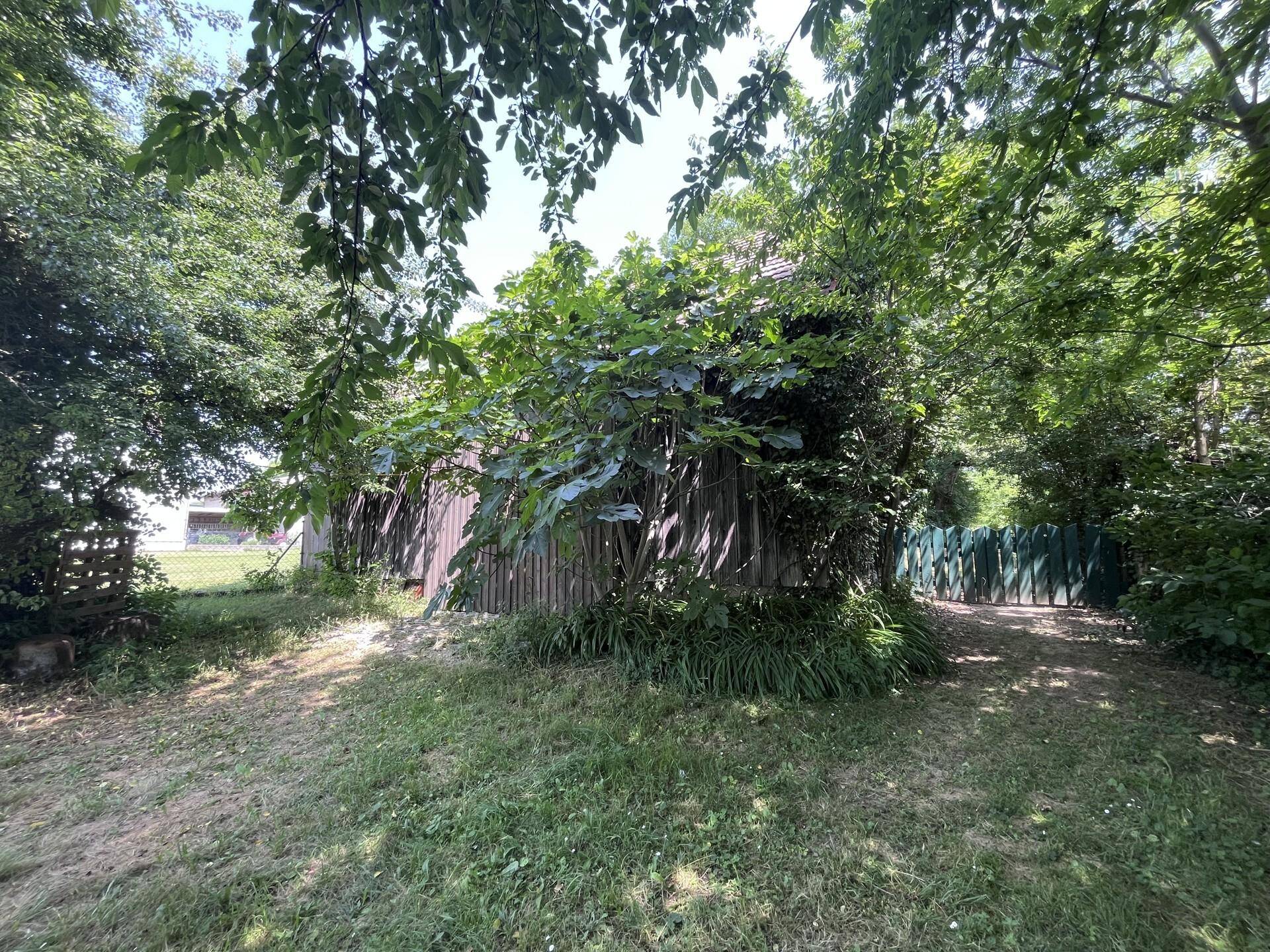 Rustikaler Holzschuppen umgeben von üppigem Grün und Bäumen an einem sonnigen Tag.