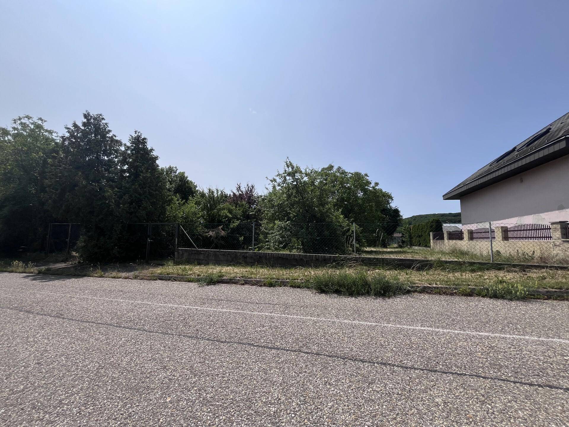 Ungenutztes Grundstück neben einer Straße mit Bäumen und einem Gebäude im Hintergrund.