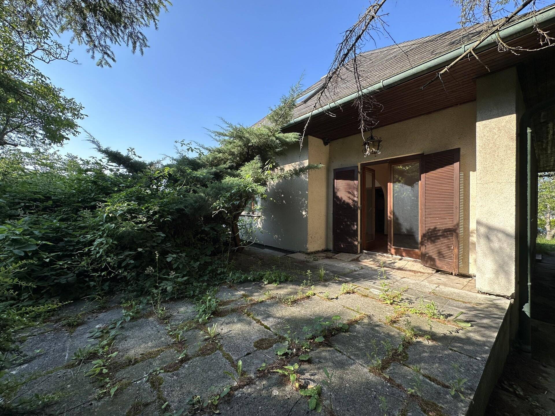 Verwilderte Terrasse mit alten Steinplatten und Zugang zum Haus, umgeben von üppiger Vegetation.