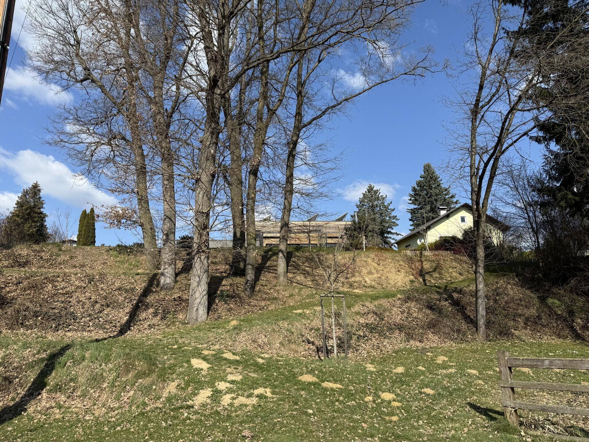 Weitläufige grüne Landschaft mit hohen Bäumen und einem Haus am Horizont unter blauem Himmel.