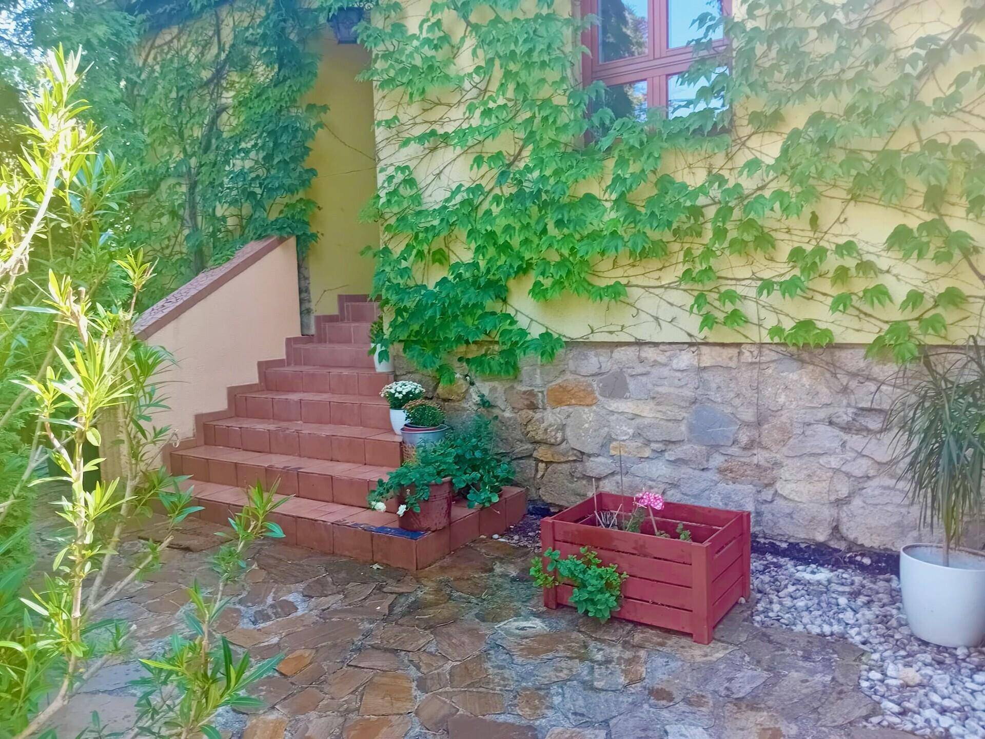 Hausfassade mit Steinsockel und gelben Wänden, teilweise mit Efeu bewachsen, mit Terrakotta-Treppe.