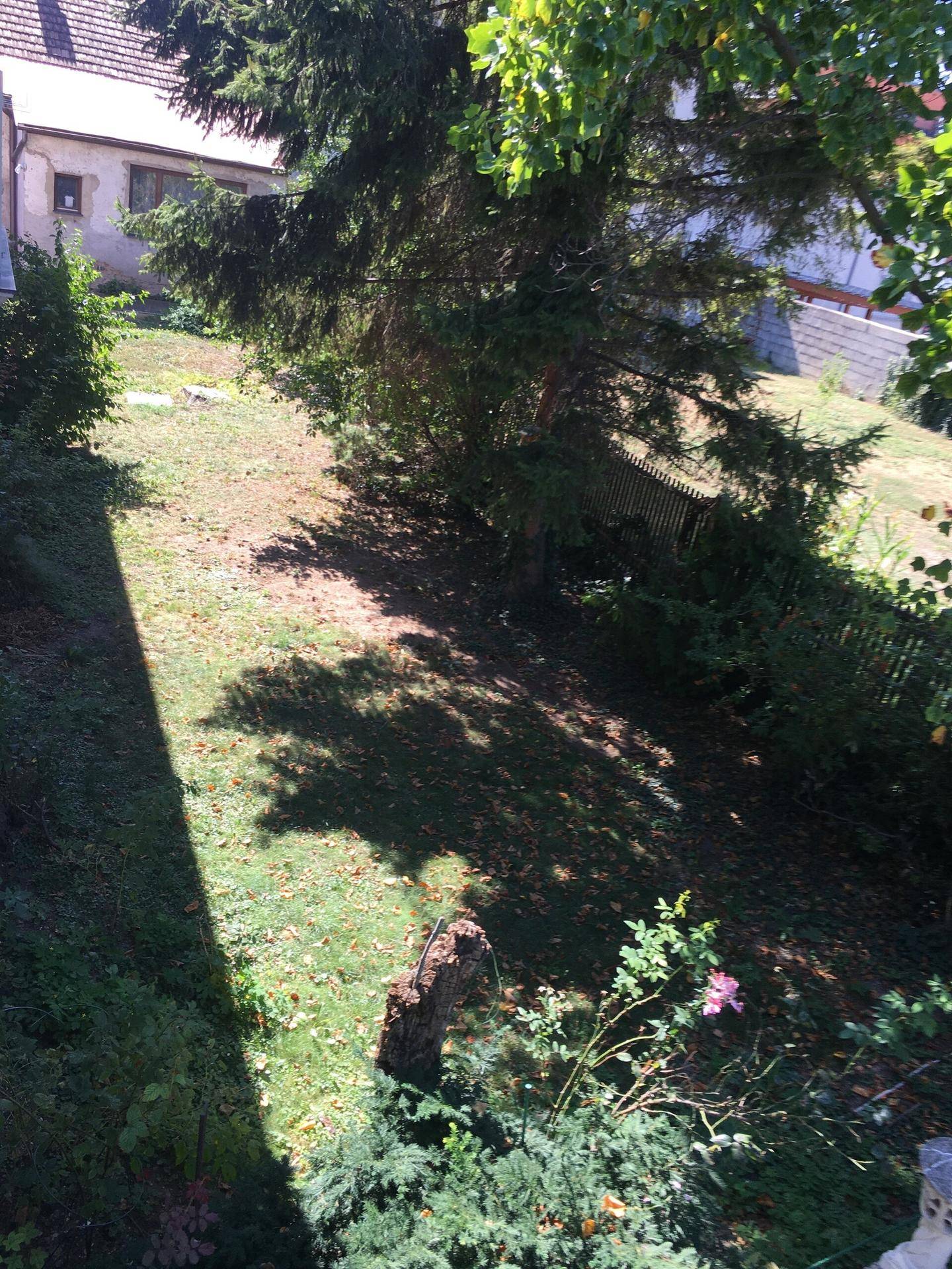 Grüner Gartenbereich mit Bäumen und Rasenfläche, von oben betrachtet.