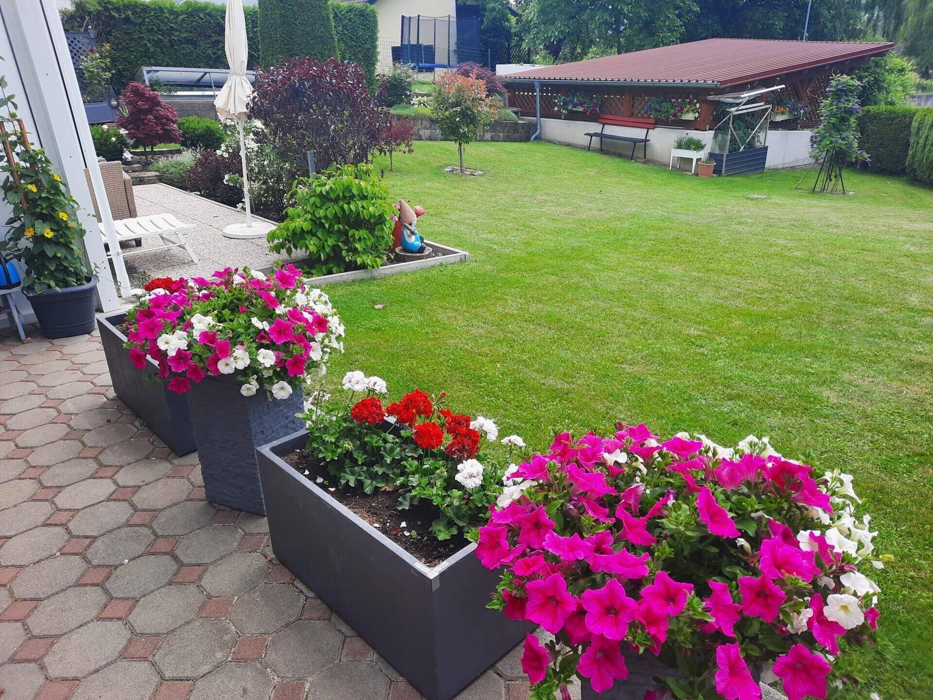 Blick von der Terrasse auf den grünen Rasen und die bunten Blumenkübel.