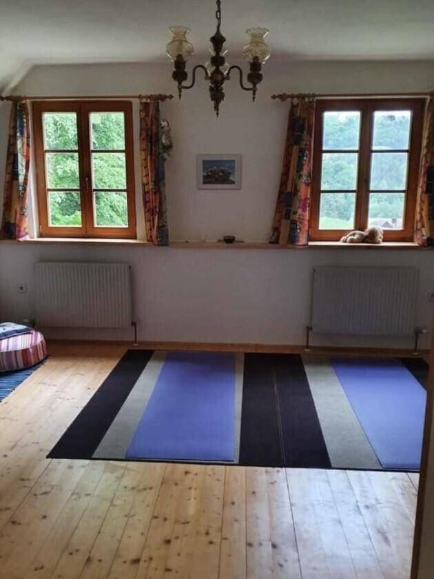 Heller Raum mit Holzboden, zwei Fenstern und einem farbigen Teppich.