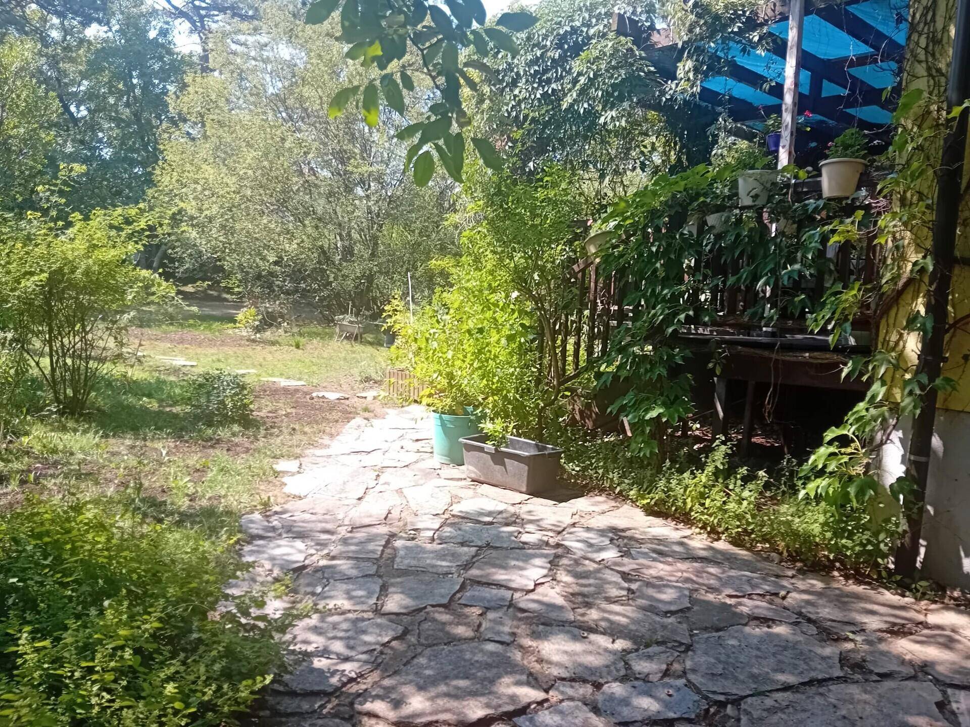 Steinweg führt durch einen grünen Gartenbereich mit üppiger Vegetation und Bäumen im Hintergrund.
